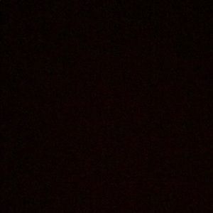 Meet your Posher, Monique